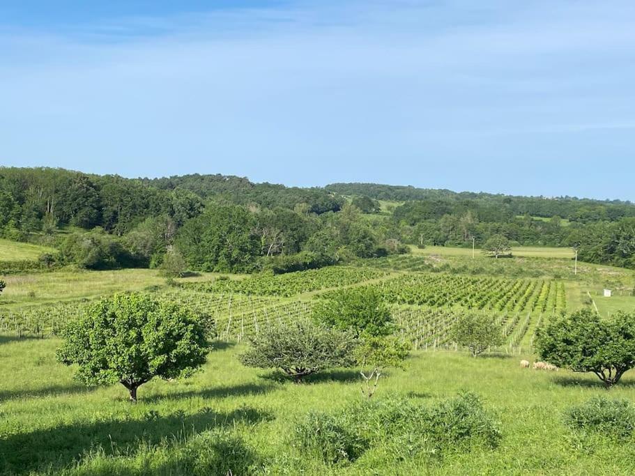 Chai Nous ! Maison Renovee Sur Un Domaine Viticole Proche De Saint Emilion Gardegan-et-Tourtirac Exterior photo
